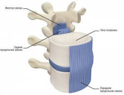 ����������-������������ �������