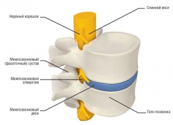 ����������-������������ ������� 