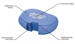 �������������� ����